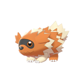 Buy Zigzagoon in Brilliant Diamond & Shining Pearl